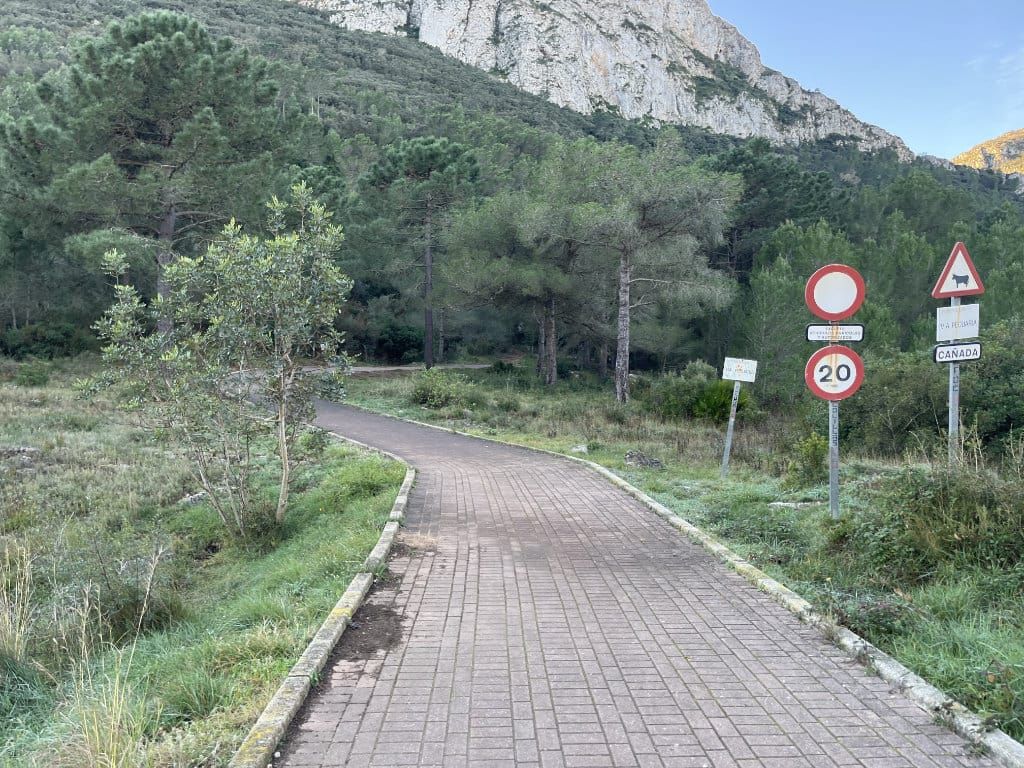 Carrascas y pinos en el sendero de ascenso
