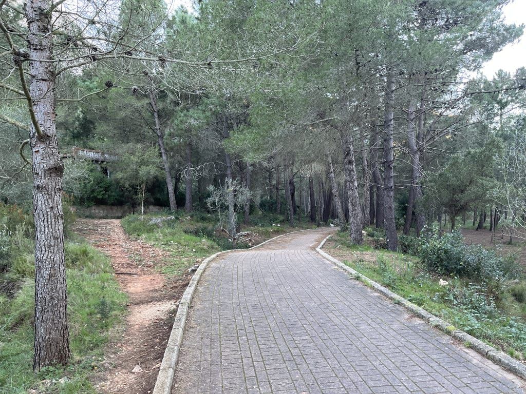 Cavidad natural del Forat de l'Aire