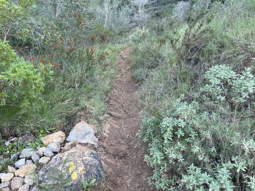 Sima de l'Aldaia, entrada de la cavidad