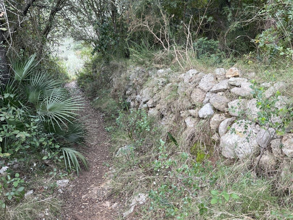 Bentisquer del Clot — antiguo nevero datado en 1779