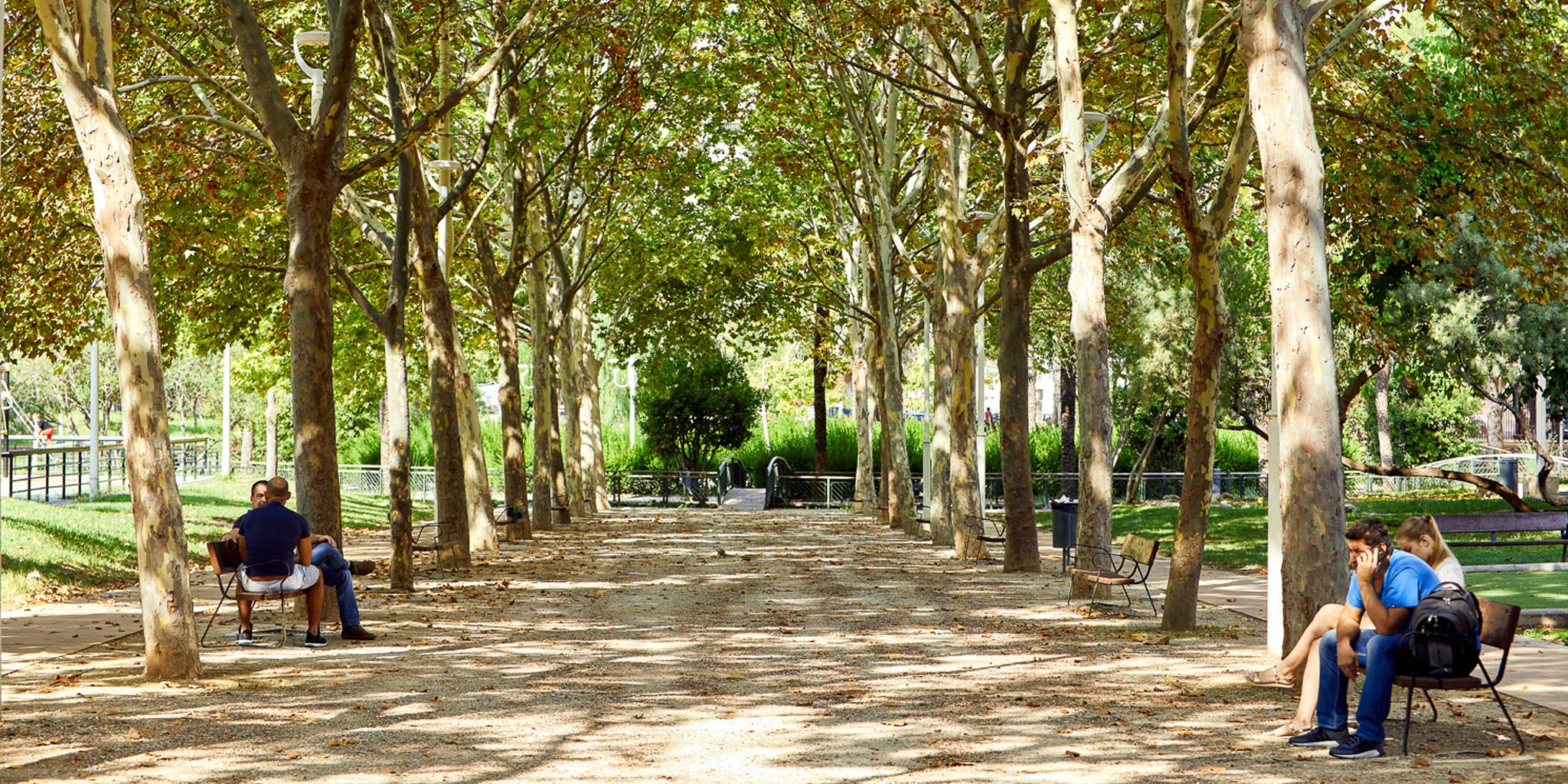 Parque de l'Alqueria Nova, le grand poumon vert de Gandia