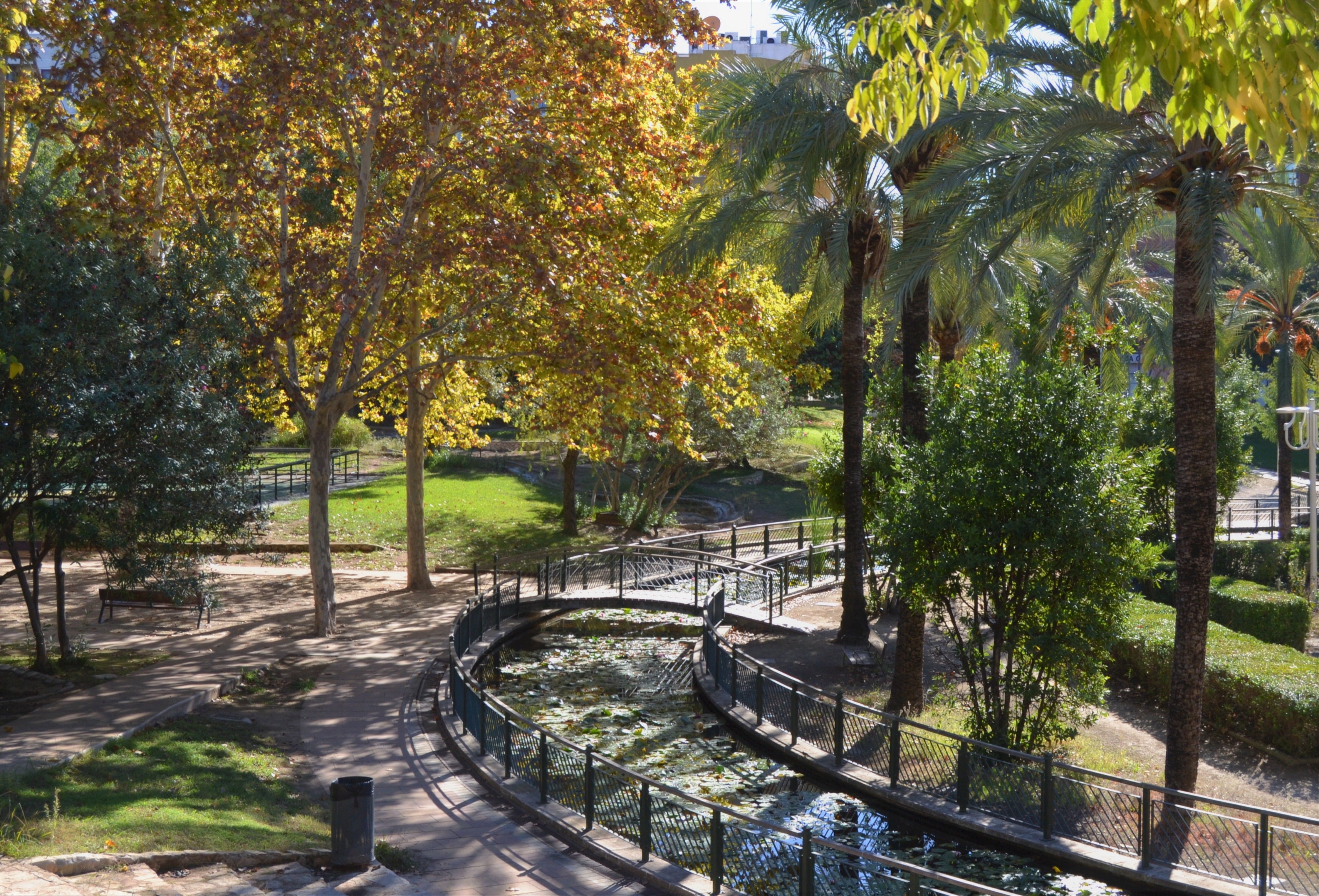 Sentier arboré à l'intérieur du Parque de l'Alqueria Nova
